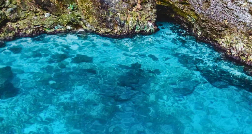 natural-pool-punta-cana-snorkeling-stop