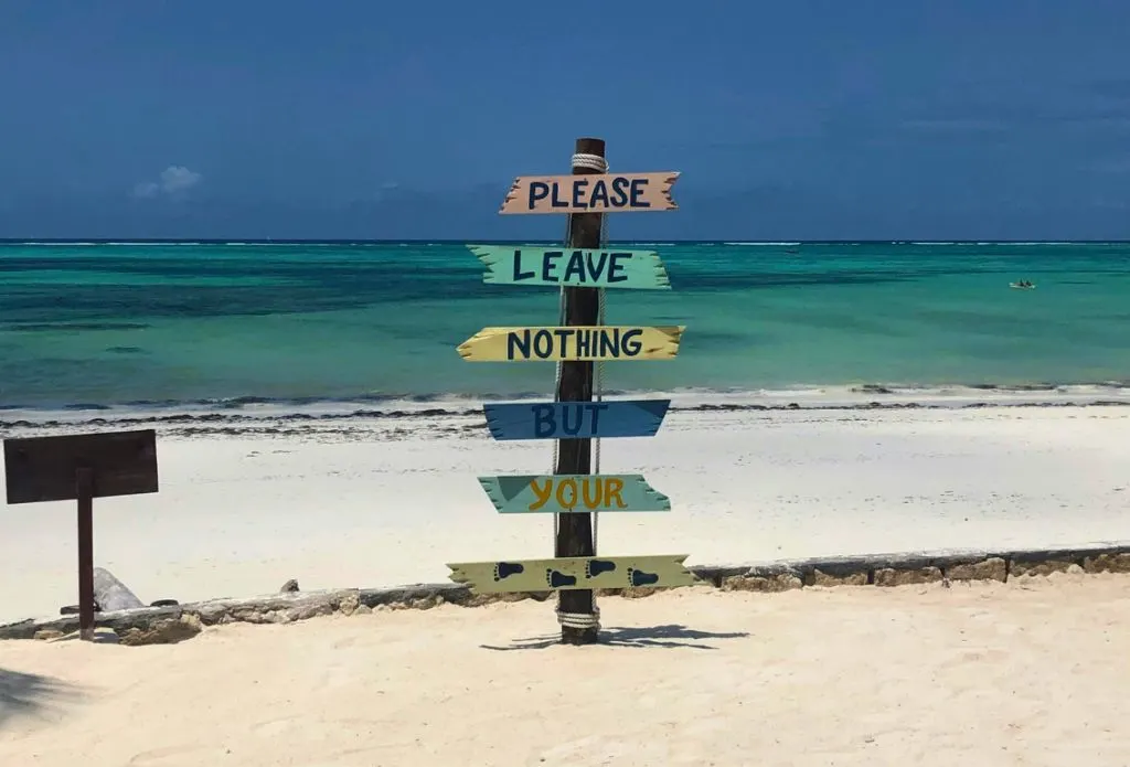 The ultimate list of the best eco-tours in the Bahamas for sustainable travel 