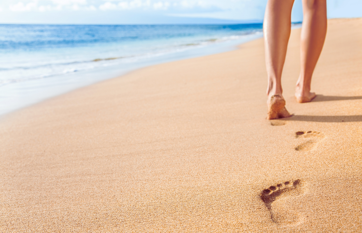 The ultimate list of the best eco-tours in the Bahamas for sustainable travel 