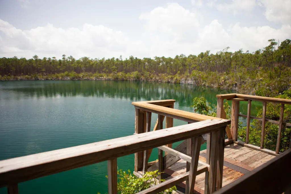 Dive into the Unexpected: Unusual Things to Do in Nassau
