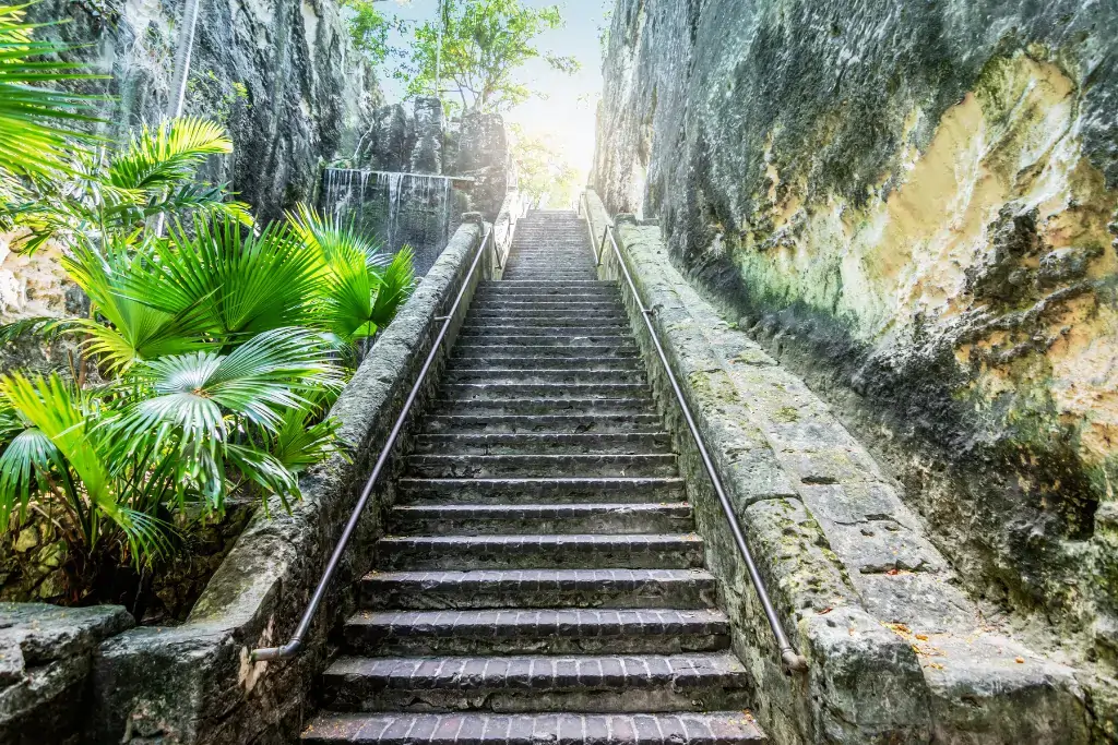 Dive into the Unexpected: Unusual Things to Do in Nassau