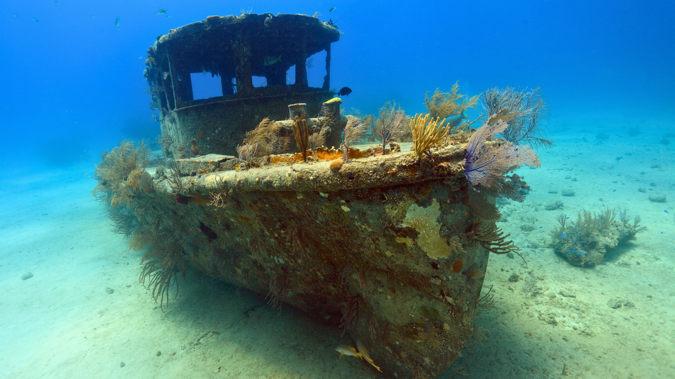 8 Fun Facts About the Bahamas That Will Surprise You  