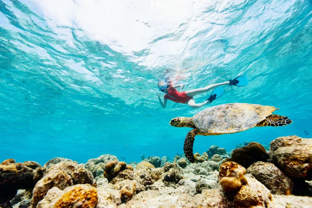 Discover the Underwater Wonders: Snorkeling in Bahamas