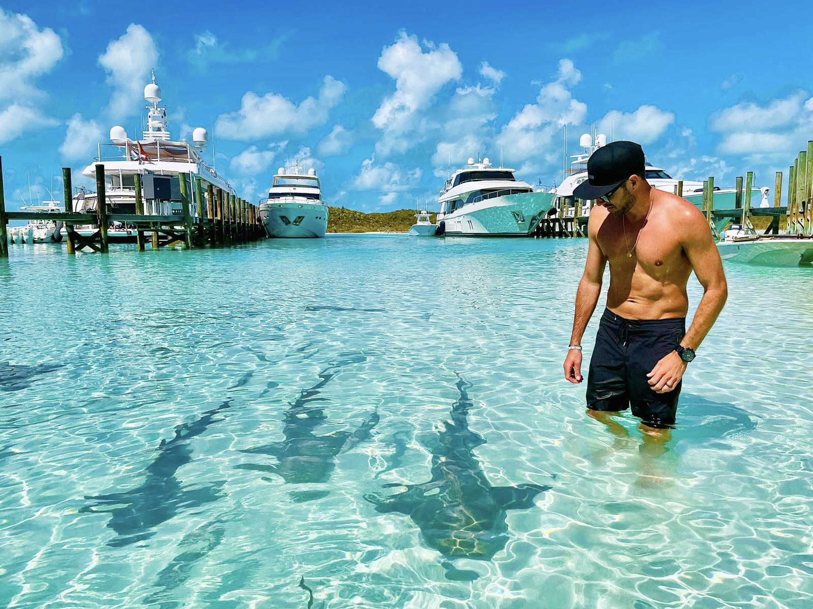 swim with nurse sharks 