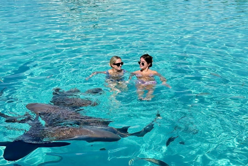 Experience the Thrill: Swim with Sharks in Nassau