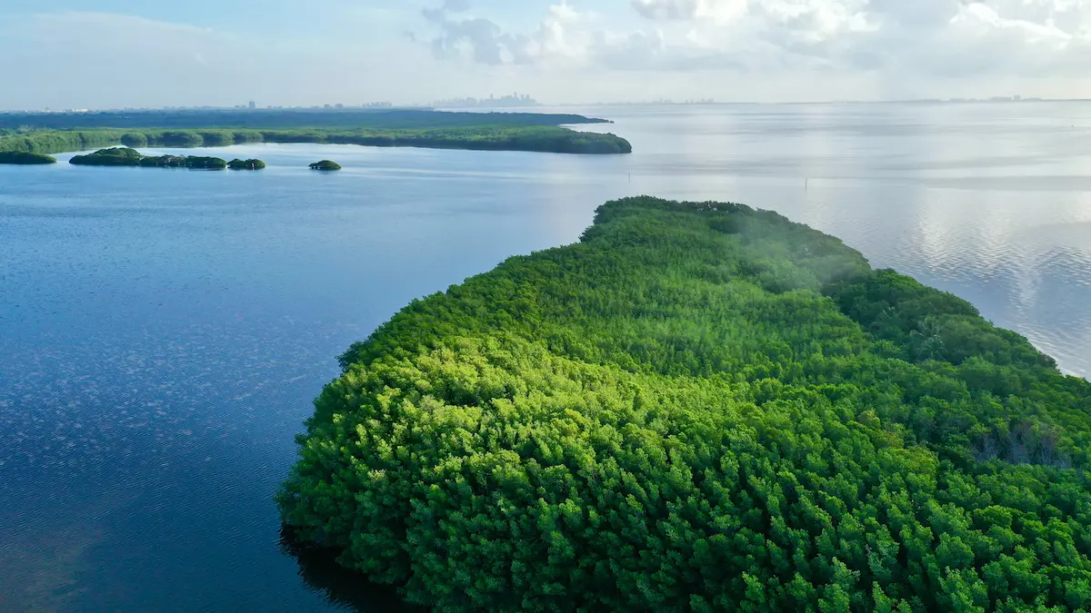 Aerial shot of Coral Gardens, near Miami, Florida