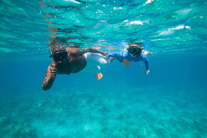 Snorkelers enjoying Turks and Caicos