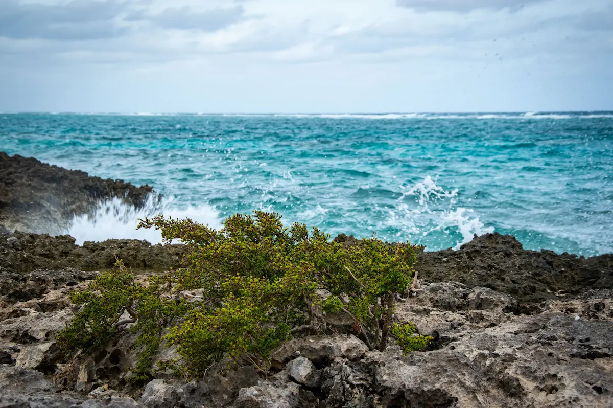 Waves crashing against Crossing Place Trail, Middle Caicos
