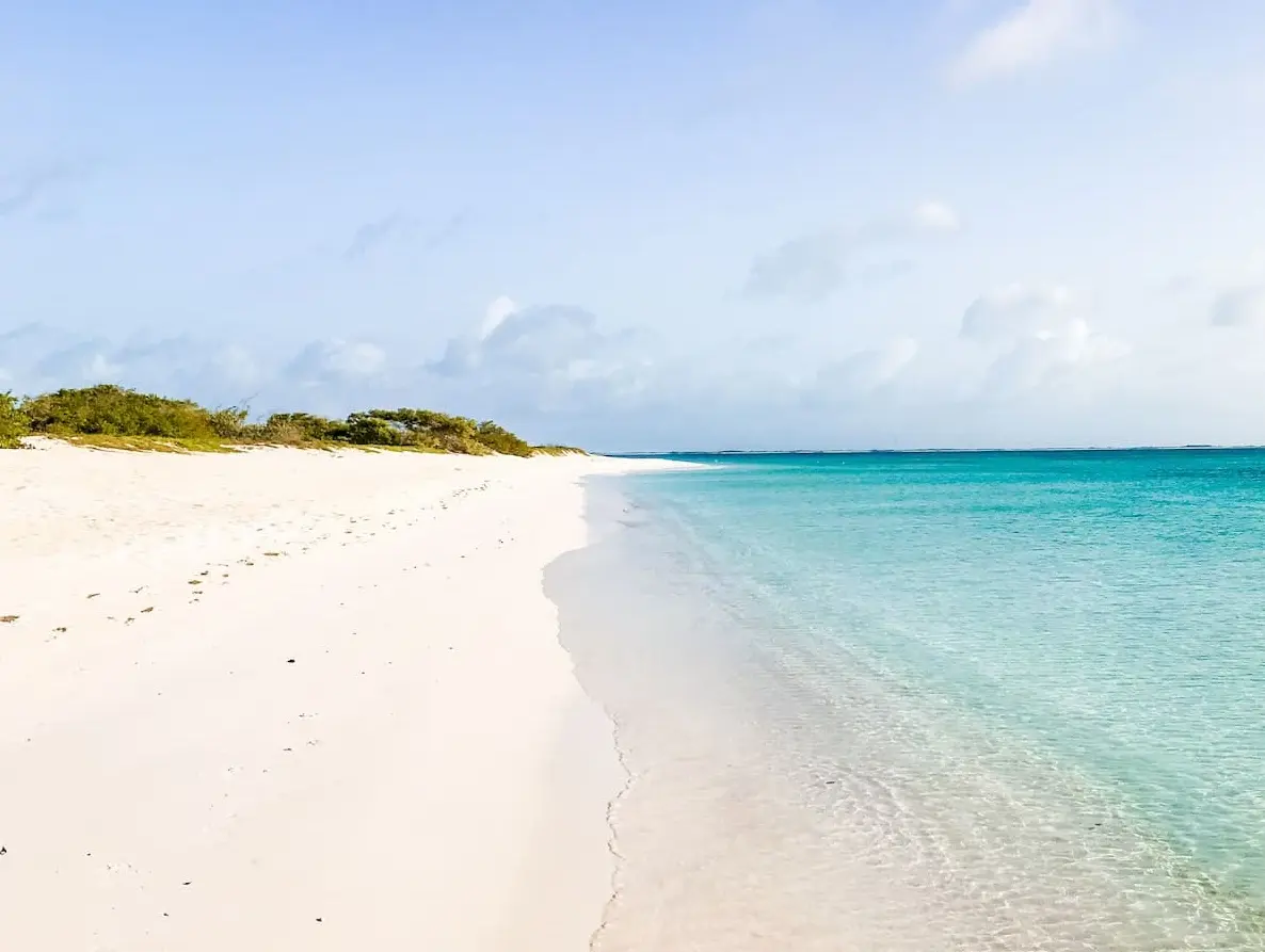 Shoreline meeting the water at North Bay, Salt Cay