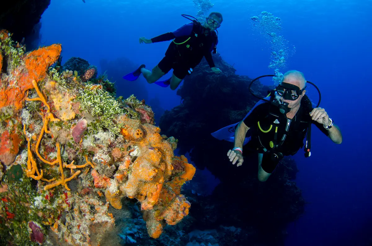 Two snorkelers approaching a coral formation near the Wall, Turks and Caicos