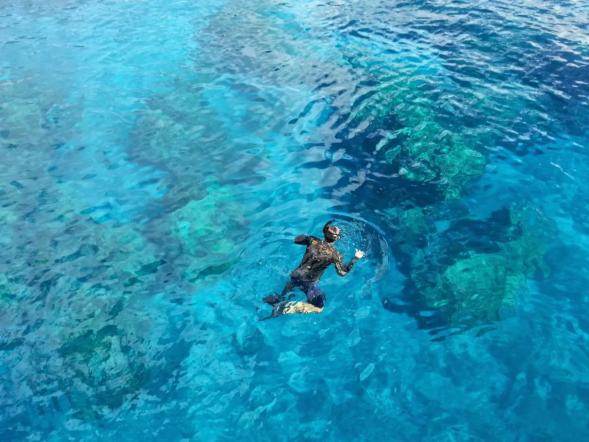 Snorkeler approaching Leeward Reef, Providenciales