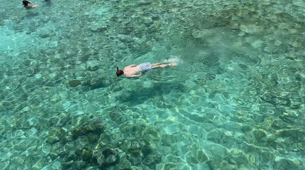 ROSE ISLAND SWIMMING PIGS TOUR & BEACH SNORKELING EXPERIENCE - GROUP TOUR