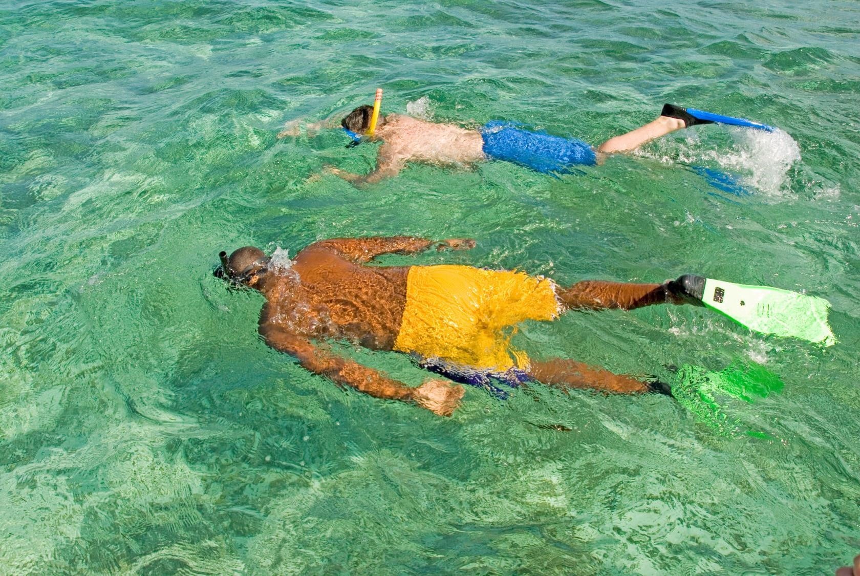 ROSE ISLAND SWIMMING PIGS TOUR & BEACH SNORKELING EXPERIENCE - GROUP TOUR
