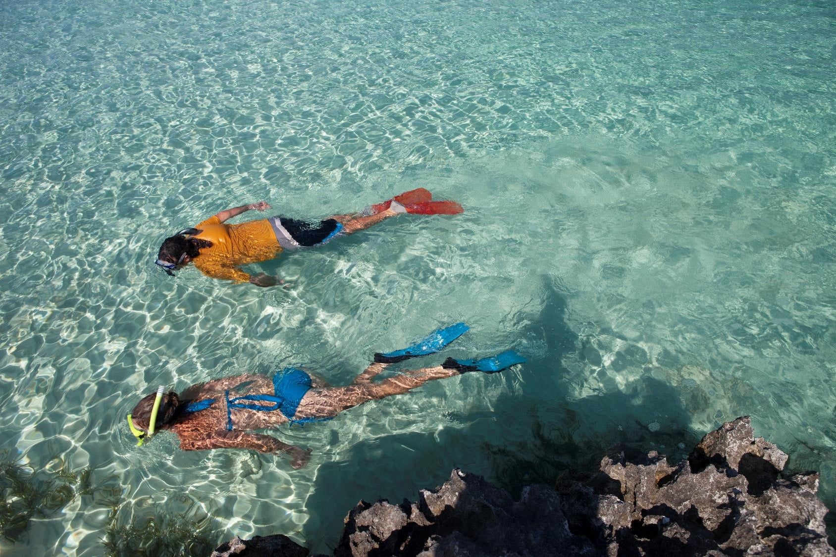 ROSE ISLAND SWIMMING PIGS TOUR & BEACH SNORKELING EXPERIENCE - GROUP TOUR