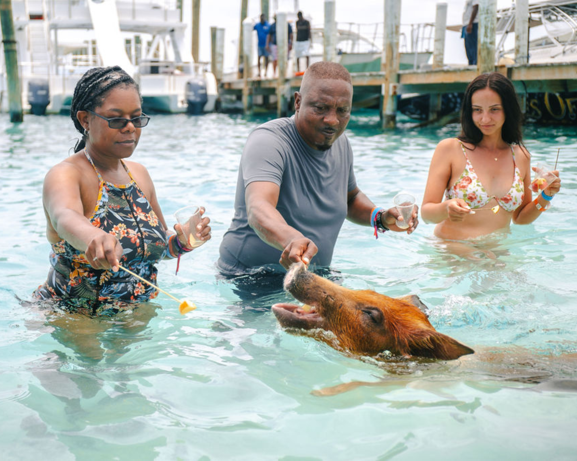 ROSE ISLAND SWIMMING PIGS TOUR & BEACH SNORKELING EXPERIENCE - GROUP TOUR