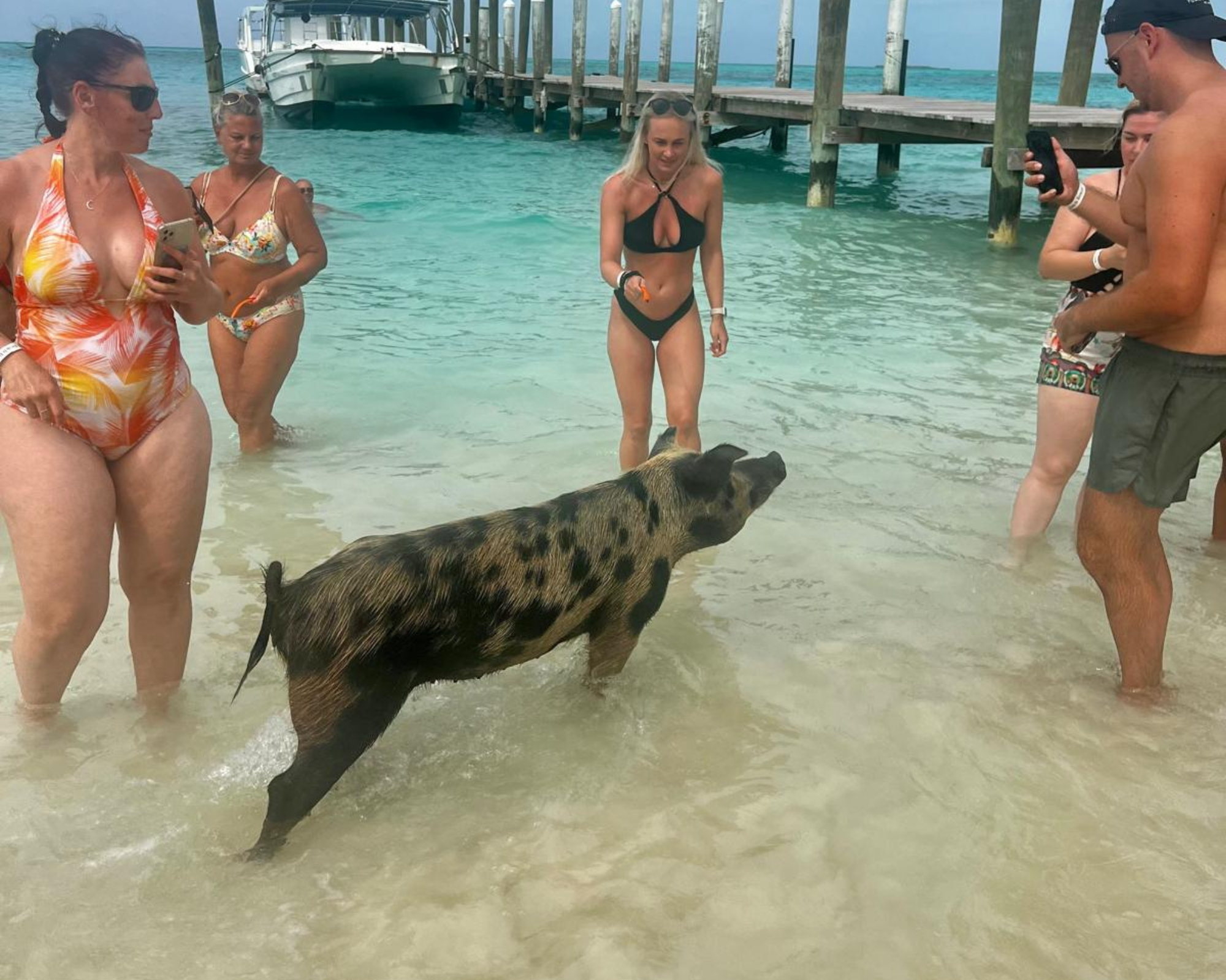 ROSE ISLAND SWIMMING PIGS TOUR & BEACH SNORKELING EXPERIENCE - GROUP TOUR