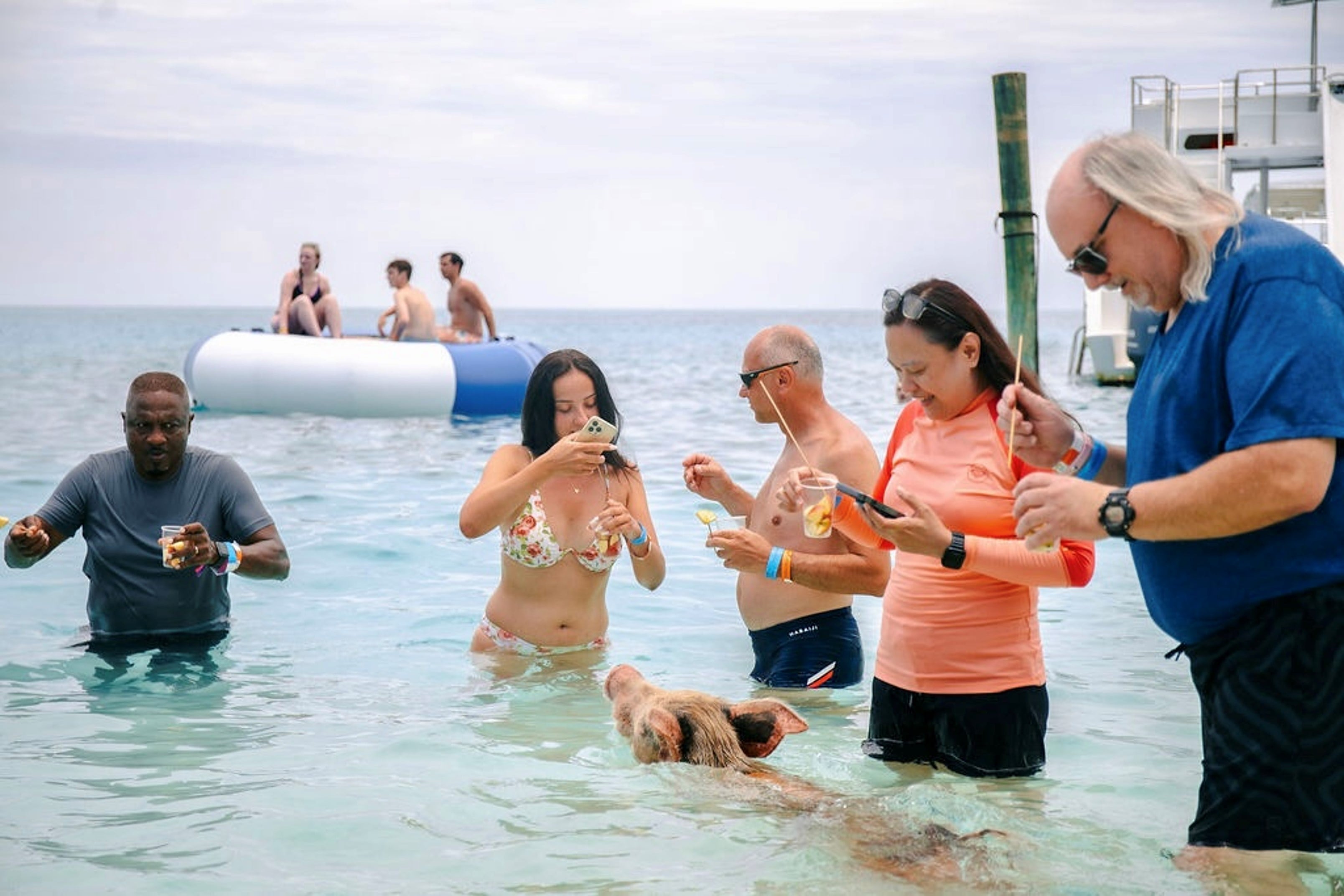 SWIMMING PIGS OF ROSE ISLAND WATER TAXI NASSAU BAHAMAS - GROUP TOUR