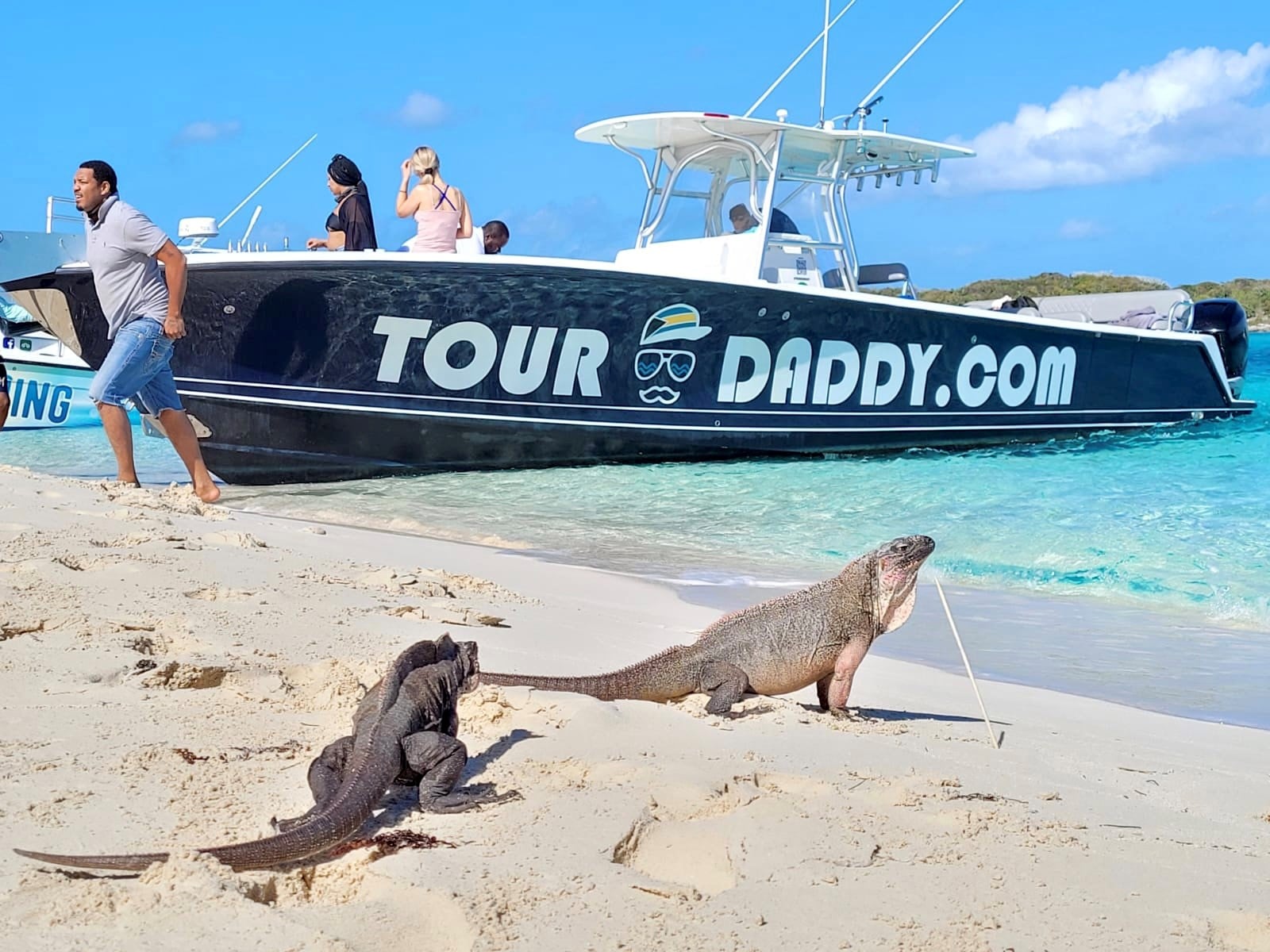 FULL DAY EXUMA SWIMMING PIGS - GROUP BOAT TOUR FROM NASSAU