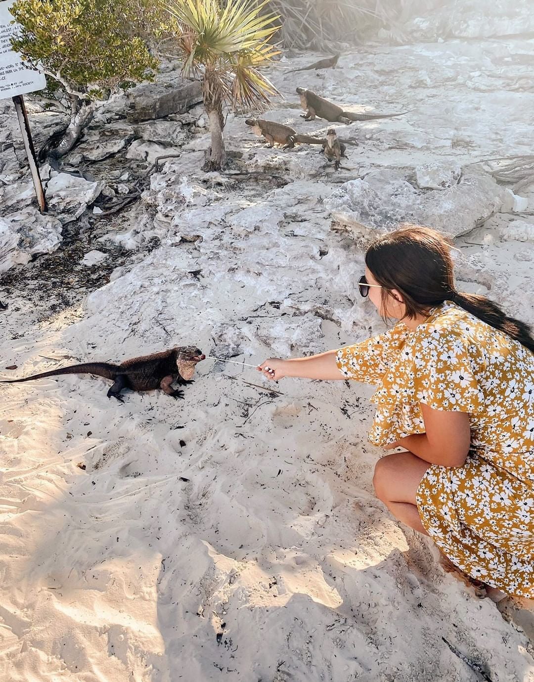 FULL DAY EXUMA SWIMMING PIGS - GROUP BOAT TOUR FROM NASSAU