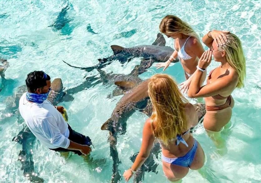 PLANE & BOAT COMBO EXUMA FULL DAY SWIMMING PIGS  - GROUP TOUR