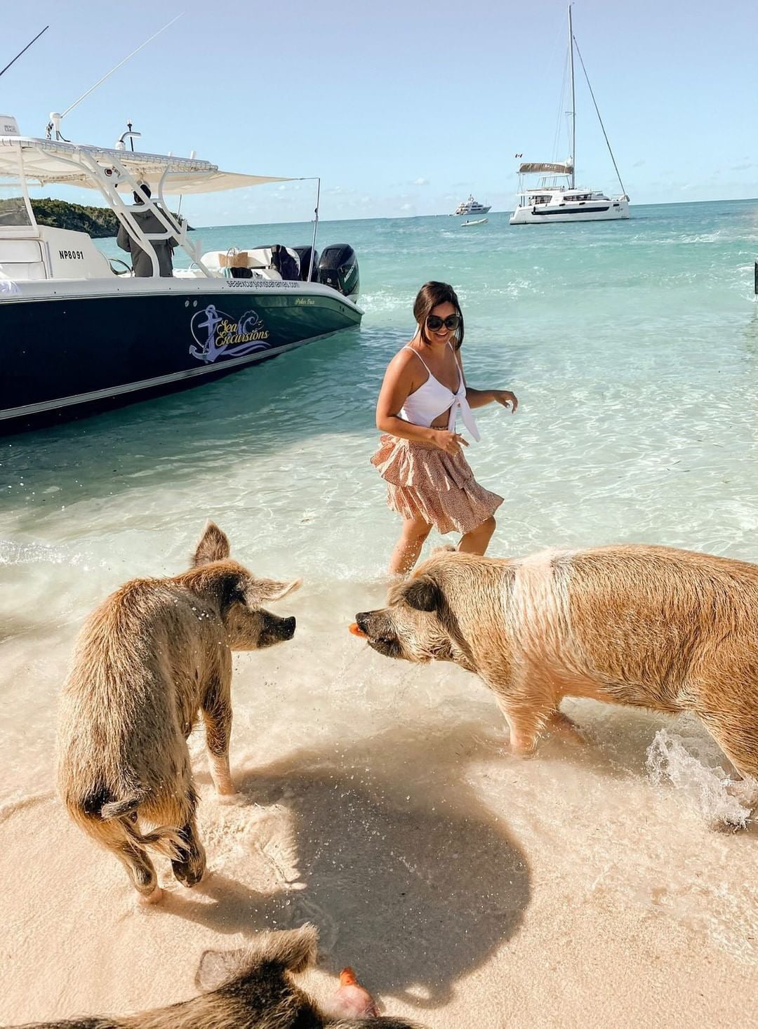 PLANE & BOAT COMBO EXUMA FULL DAY SWIMMING PIGS  - GROUP TOUR