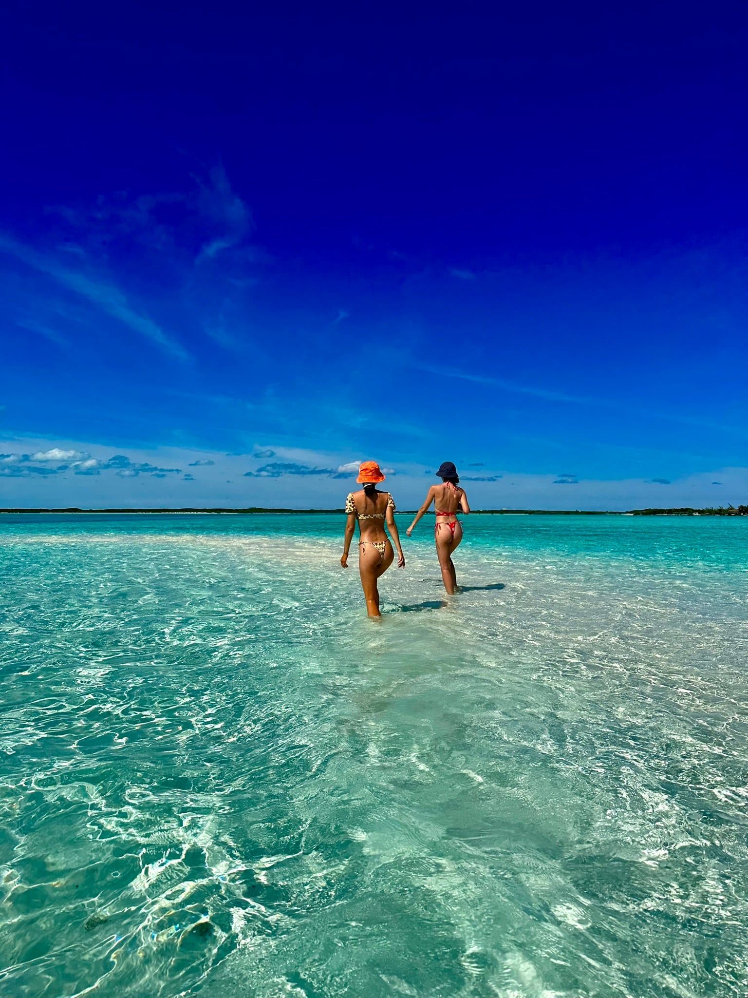 PLANE & BOAT COMBO EXUMA FULL DAY SWIMMING PIGS  - GROUP TOUR