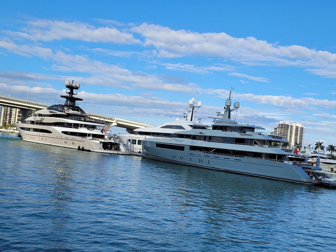 THRILLER SPEEDBOAT SIGHTSEEING ADVENTURE | MIAMI, USA