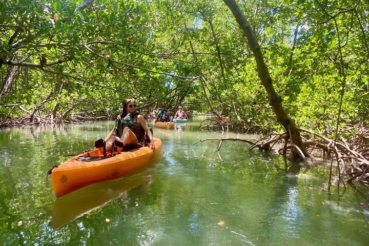 ECO PEDAL KAYAK TOUR