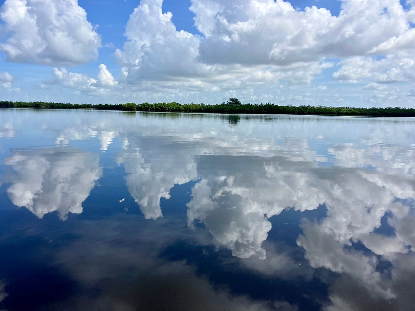 ECO PEDAL KAYAK TOUR