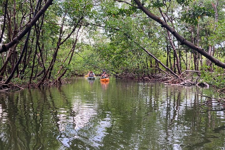 ECO PEDAL KAYAK TOUR