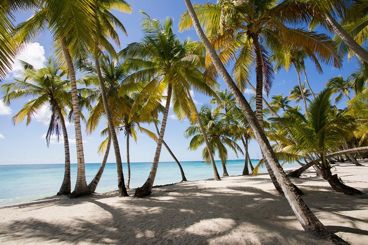 SAONA ISLAND DAY TRIP WITH LUNCH AND OPEN BAR