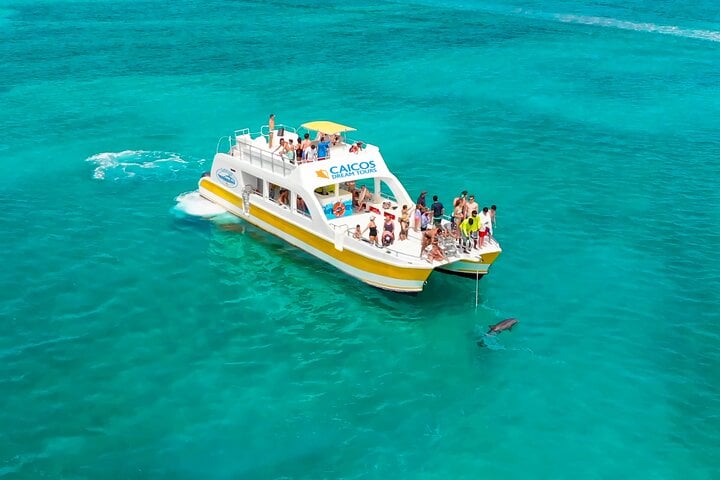 SNORKELING & IGUANA ISLAND MORNING CRUISE FROM PROVIDENCIALES