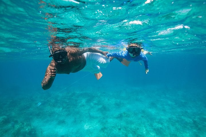 SNORKELING & IGUANA ISLAND MORNING CRUISE FROM PROVIDENCIALES