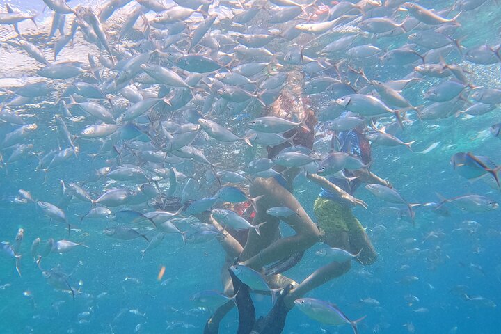 CATALINA ISLAND & SNORKELING PARADISE FROM PUNTA CANA
