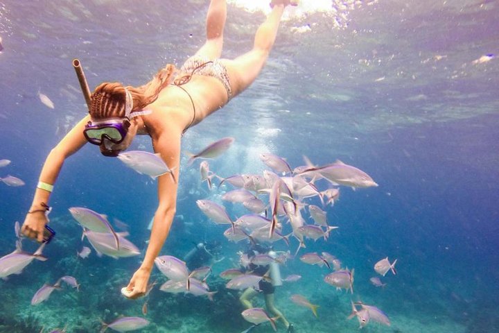 CATALINA ISLAND & SNORKELING PARADISE FROM PUNTA CANA
