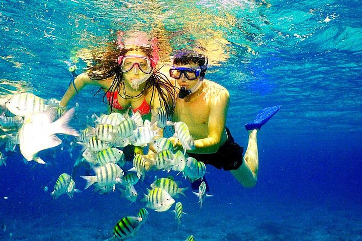 CATALINA ISLAND & SNORKELING PARADISE FROM PUNTA CANA