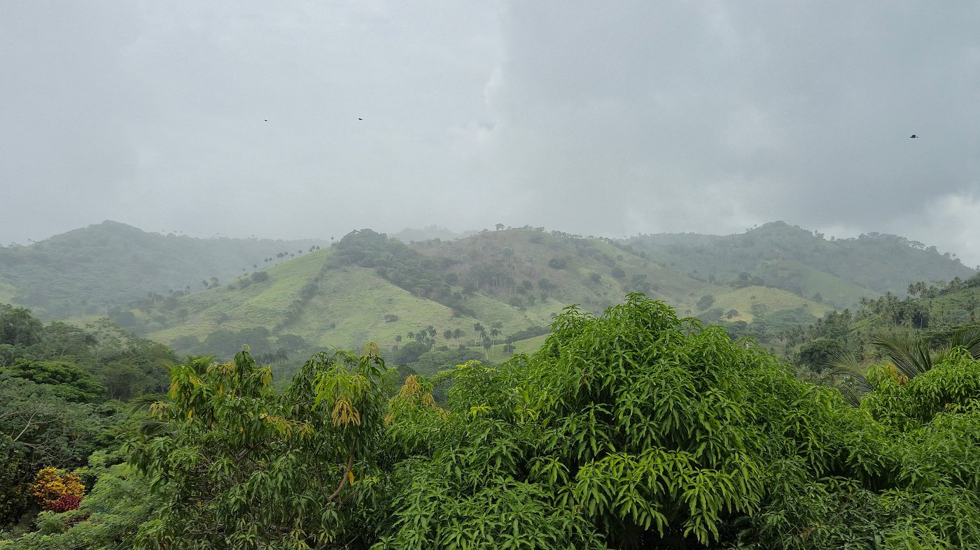 MONKEYLAND ECO ADVENTURE AND COFFEE & COCOA TOUR