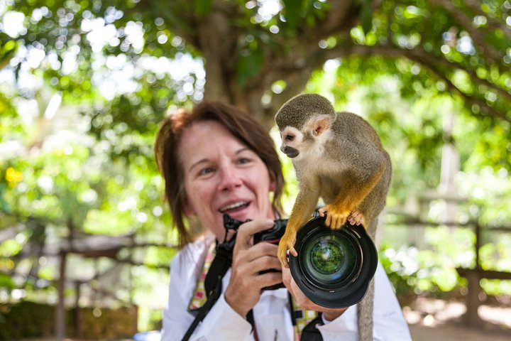 MONKEYLAND ECO ADVENTURE AND COFFEE & COCOA TOUR