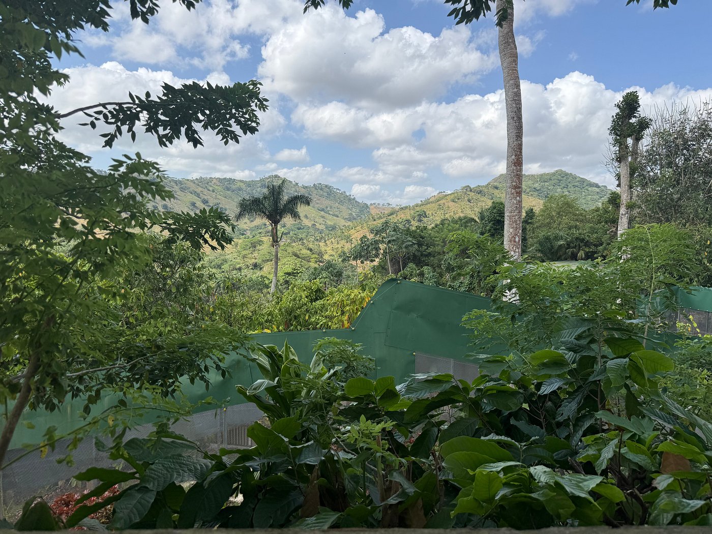 MONKEYLAND ECO ADVENTURE AND COFFEE & COCOA TOUR
