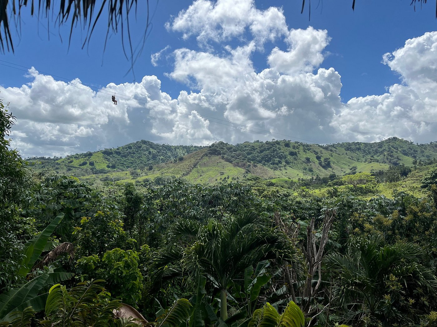 ULTIMATE JUNGLE ADVENTURE: ZIP LINES, MONKEYLAND AND COFFEE & COCOA TASTING