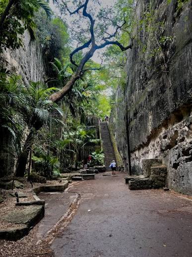 The Queen's Staircase in Nassau, Bahamas, cut through limestone and lined with ferns