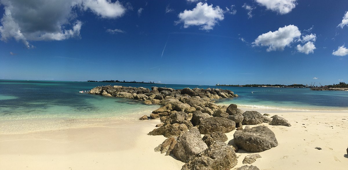 Shaded picnic area under casuarina trees at Saunders Beach in Nassau, Bahamas