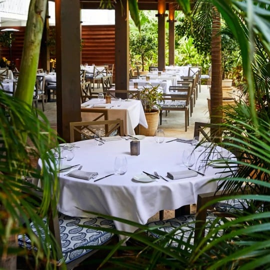 CAFE BOULUD | NASSSAU, BAHAMAS