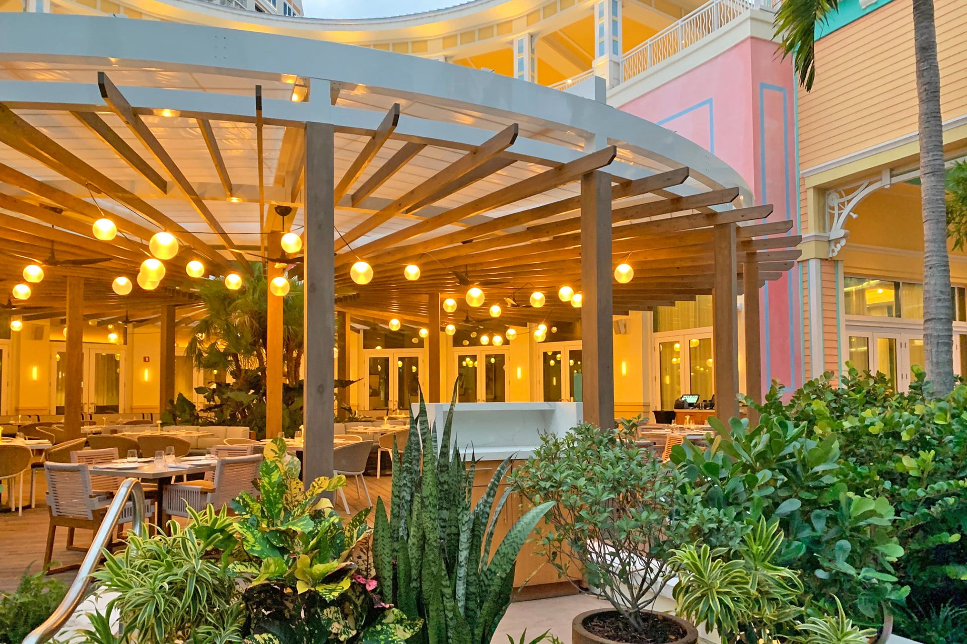 CARNA | NASSAU, BAHAMAS