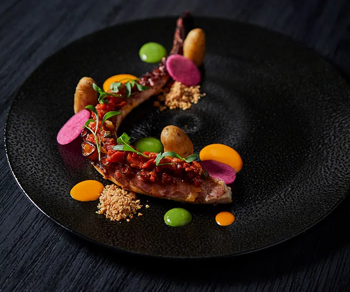 CARNA | NASSAU, BAHAMAS