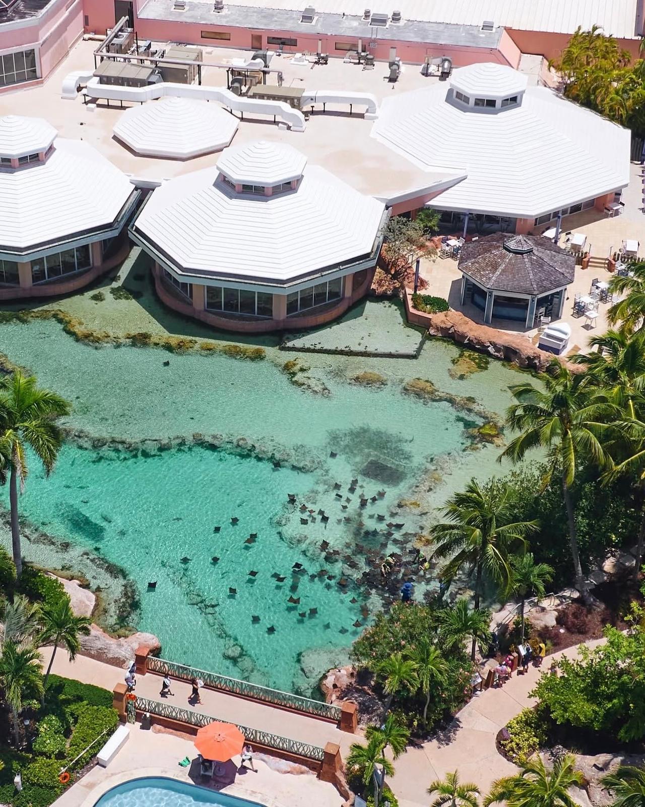 CLAUDIO'S | PARADISE ISLAND - NASSAU, BAHAMAS