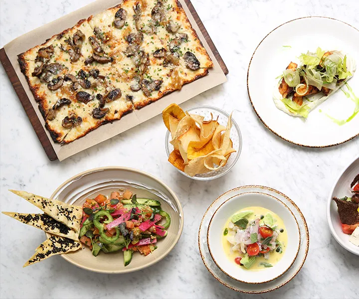 CLEO | NASSAU, BAHAMAS