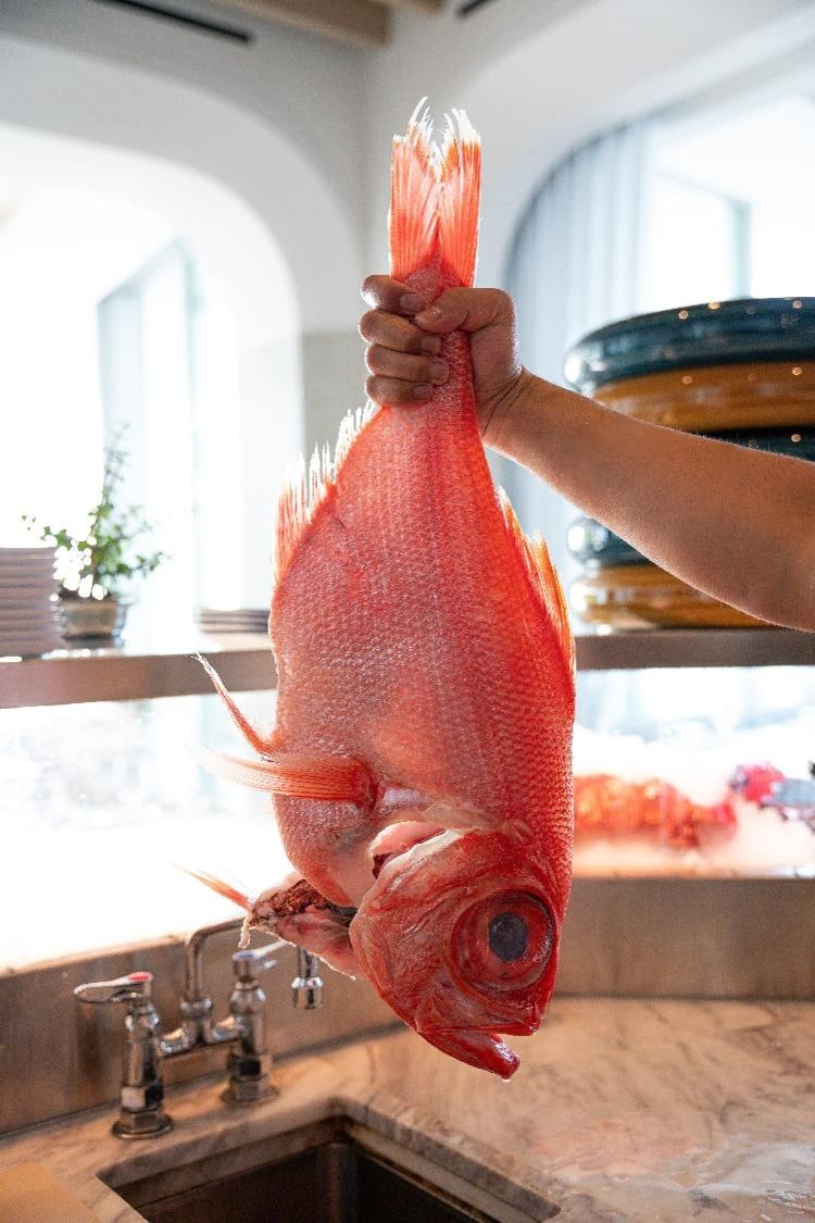 OIA | NASSAU, BAHAMAS