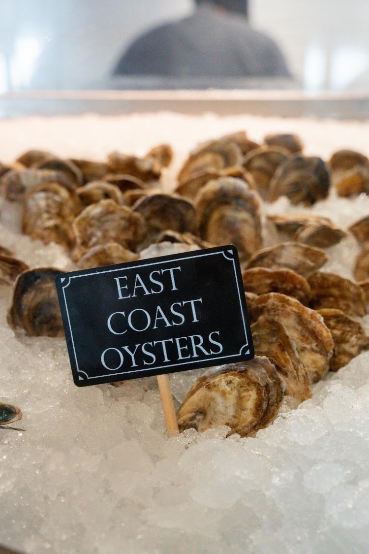 SOLEMAR | NASSAU, BAHAMAS