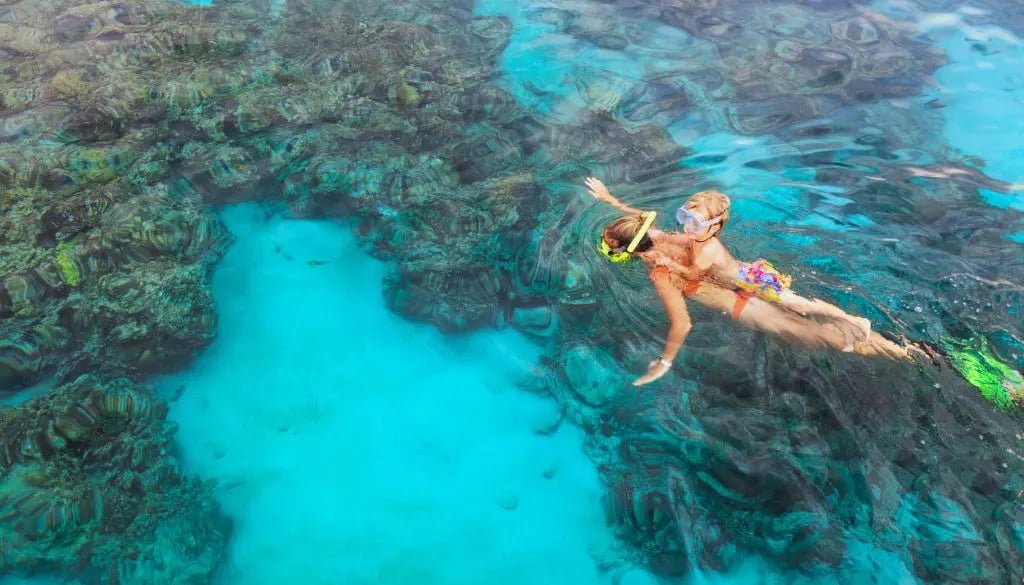 family snorkeling bahamas